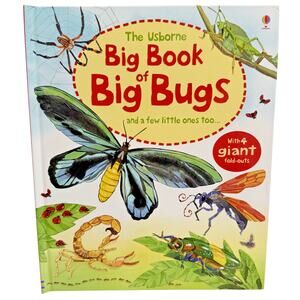 Usborne Big Book of Big Bugs by Emily Bone - Board Book with Giant Fold Outs